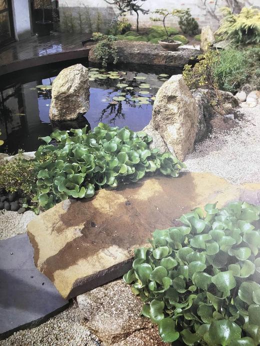 园林设计之书 350余幅彩色插图 精装16开 商品图10