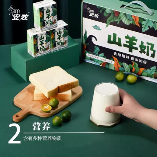 安牧 山羊奶 200ml*12盒 商品图2