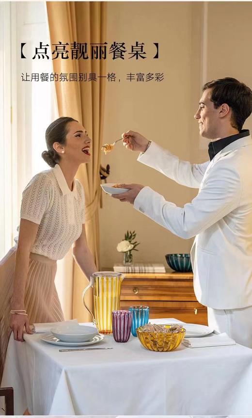 利快圆拖盘31*3.5CM 商品图2