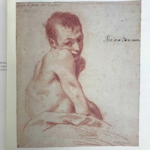 查茨沃斯庄园收藏手稿图集 约百幅插图 精装大16开 商品图14