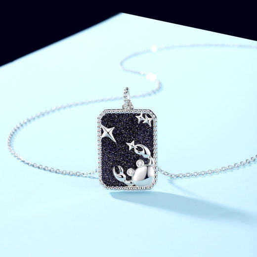Winy925纯银十二星座系列项链送女友闺蜜节日生日礼物 商品图0