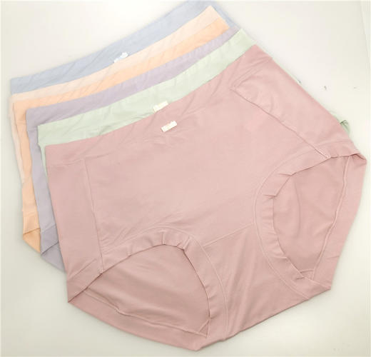 MH竹纤维女士素色加大版内裤32981 商品图0