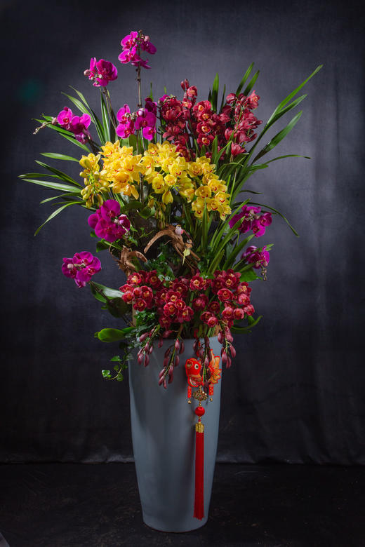 24GL01002 商品图0