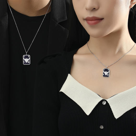 Winy925纯银十二星座系列项链送女友闺蜜节日生日礼物 商品图7