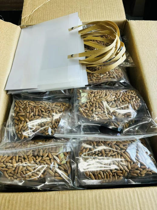 进口巴松，坚果皇者，你能买到的稀罕大颗粒，特别加钱让工厂精挑细选重重筛选，粒粒分明，颗粒均匀清爽！坏籽率极低 商品图5