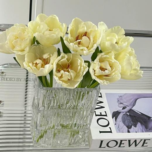 重瓣郁金香丨柠檬挞丨10支 商品图1