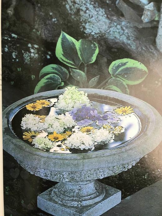 私密花园：我们花园的二十个四季 200幅彩色插图 精装16开 商品图7