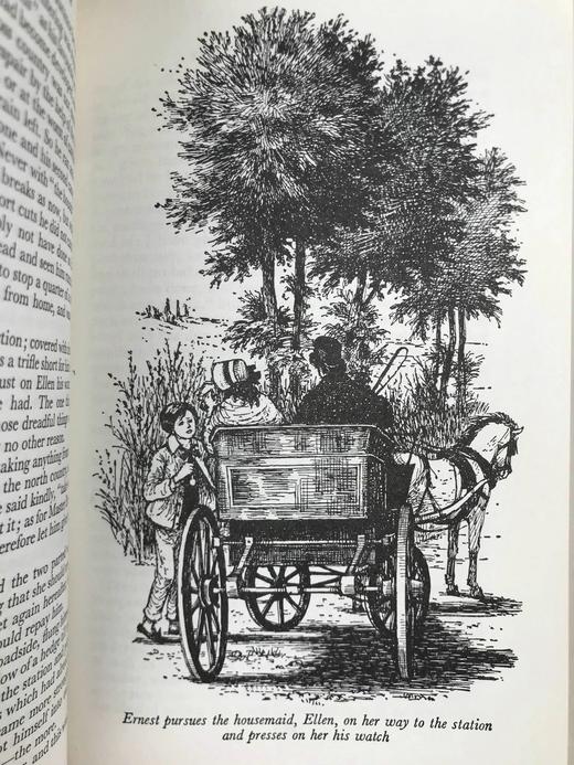 塞缪尔·巴特勒《众生之路》 8幅插图 苍鹭出版社复古精装本 商品图3