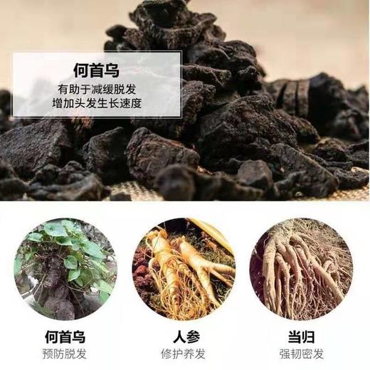 何首乌洗发水黑发养发液强健发根防脱育发 头发健康成长 商品图1