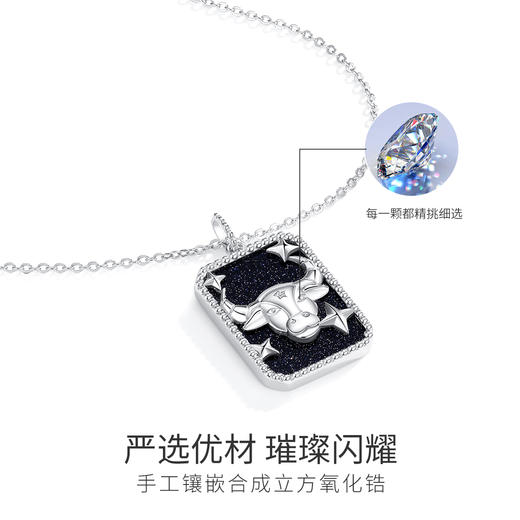 Winy925纯银十二星座系列项链送女友闺蜜节日生日礼物 商品图3