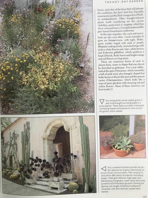 园林设计之书 350余幅彩色插图 精装16开 商品图8