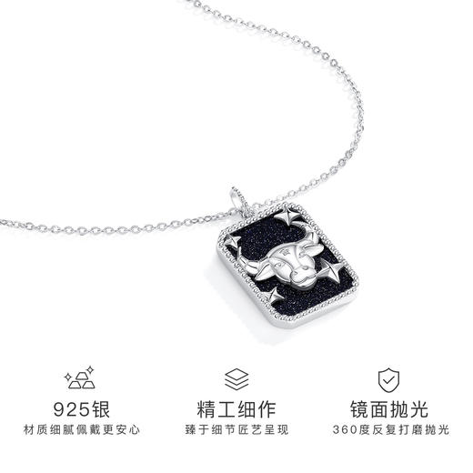 Winy925纯银十二星座系列项链送女友闺蜜节日生日礼物 商品图1