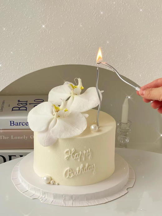 人间仙子蝴蝶兰 商品图2