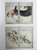 拉微奇收藏日本图画书图集 124幅插图（79幅彩色） 精装大16开 商品缩略图14