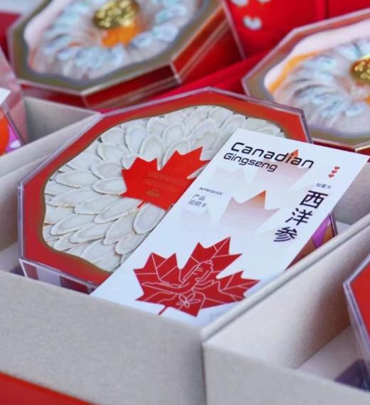 龙年限定 加拿大进口精选西洋参片100克礼盒装 1.6斜切片 商品图2