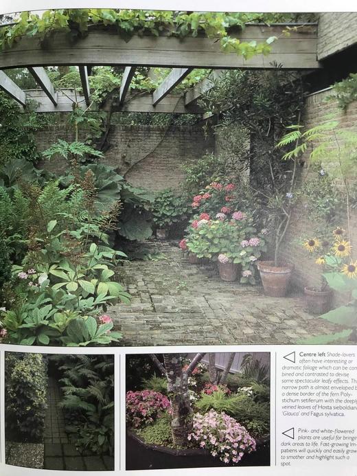 园林设计之书 350余幅彩色插图 精装16开 商品图9