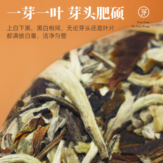 茶马世家牡丹王白茶饼2018年明前头采春茶老白茶高山花香白牡丹送德化白瓷专用盖碗 商品图4