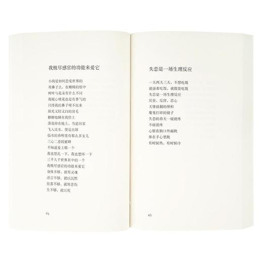 《我的身体里早已落叶纷飞》海桑诗集 读库出品 迷你袖珍口袋书 商品图3