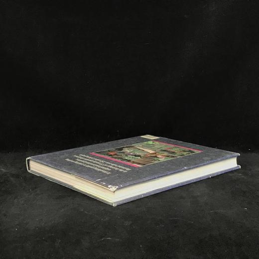 园林设计之书 350余幅彩色插图 精装16开 商品图2