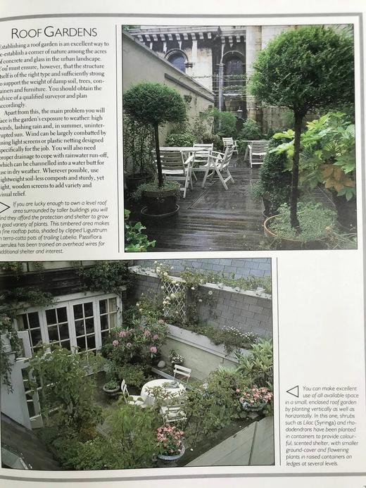 园林设计之书 350余幅彩色插图 精装16开 商品图12