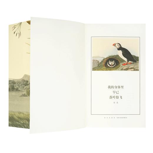 《我的身体里早已落叶纷飞》海桑诗集 读库出品 迷你袖珍口袋书 商品图2