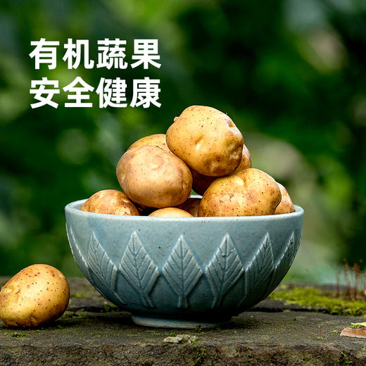 好物甄选 有机蔬果礼盒 商品图7