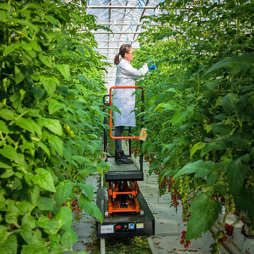 好物甄选 有机蔬果礼盒 商品图4