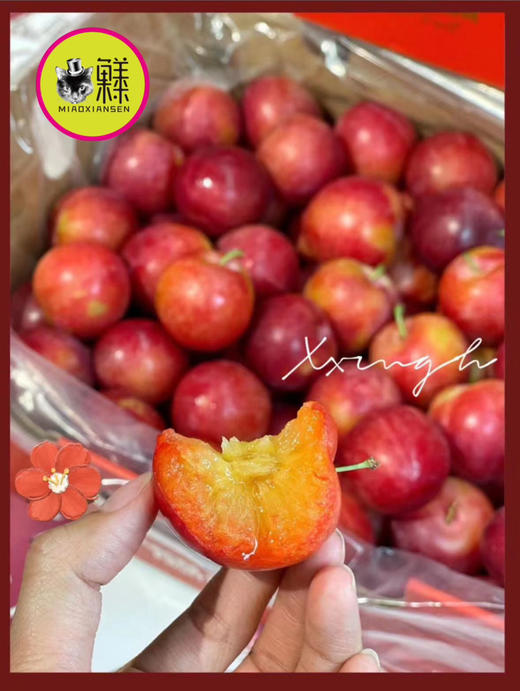 ✈️进口5J樱桃李（加大车厘子）二合一 2.5kg 商品图0