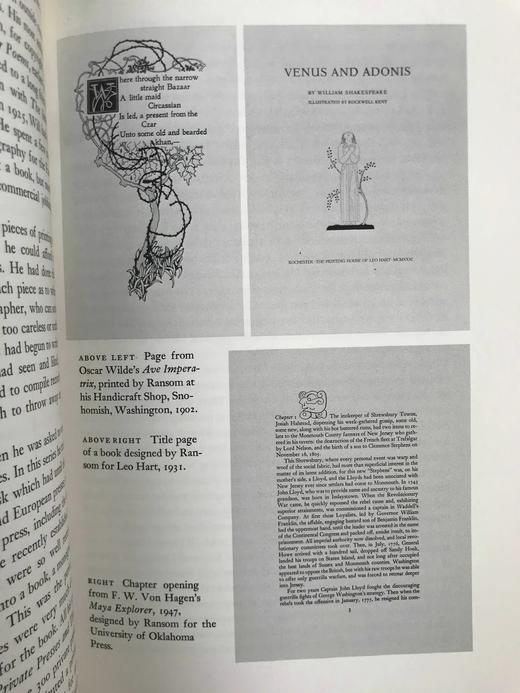 平面艺术遗产：纽约画廊演讲精选 约百幅插图 精装16开 商品图6