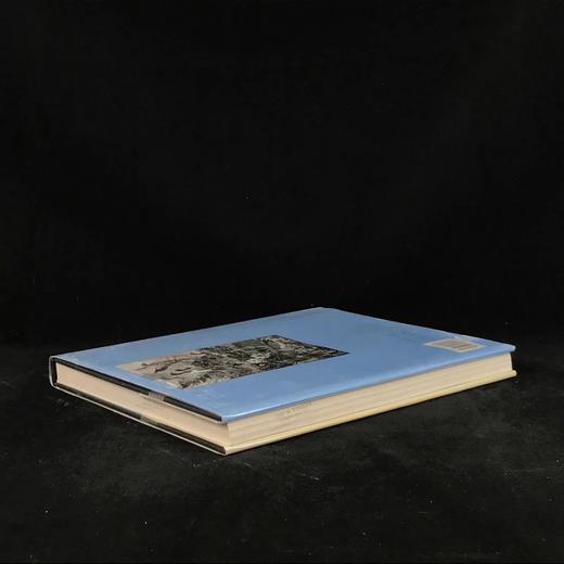 现代野生动物绘画 140余幅彩色插图 精装大16开 商品图2