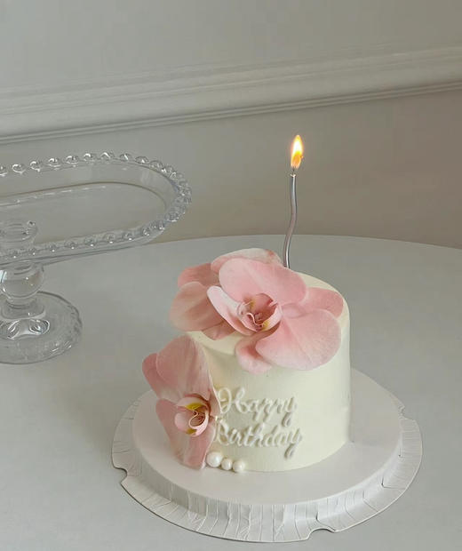 人间仙子蝴蝶兰 商品图1