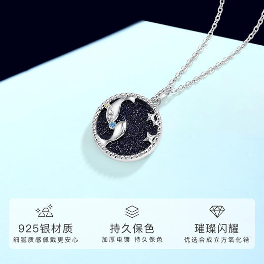 Winy925纯银十二星座系列项链送女友闺蜜节日生日礼物 商品图1