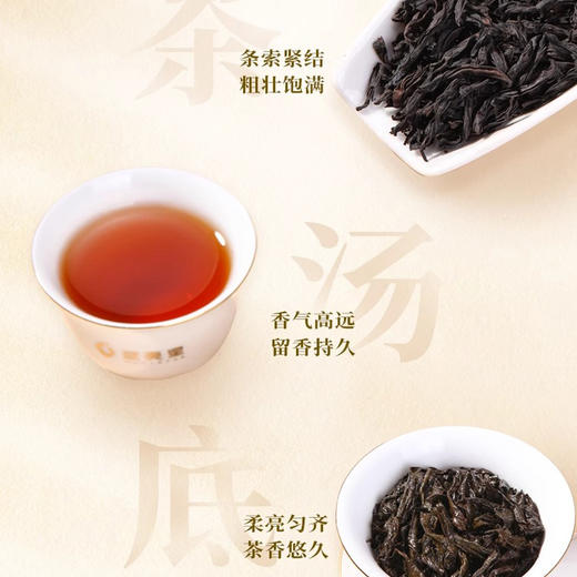 武夷星山场说饭甑窠肉桂 商品图2