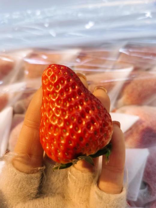 无菌套袋草莓一箱 商品图1