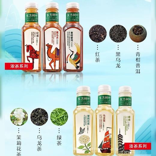 农夫山泉东方树叶乌龙茶调味茶饮料500ml 商品图1
