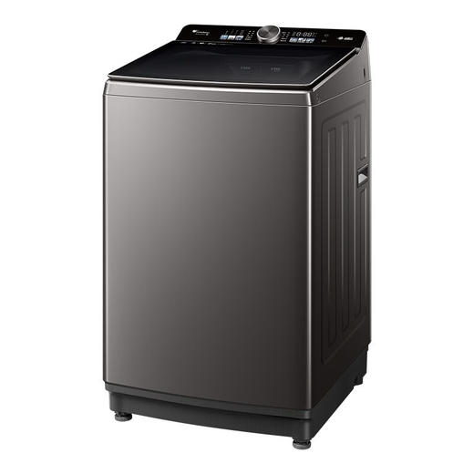 小天鹅（LittleSwan）波轮全自动洗衣机10KG大容量 家用家电变频【预售商品】 TB100M091DT 商品图1