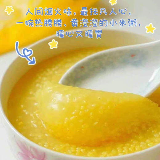 周三配送！内蒙古赤峰天山有机小米！天然独特的地理环境决定了小米品质颗粒大、口感好、金黄馨香
天冷的时候，熬上一锅，米油泛着油润的光泽舀一勺，入口浓香绵绸整个胃都觉得特别舒服 5斤/袋 商品图3