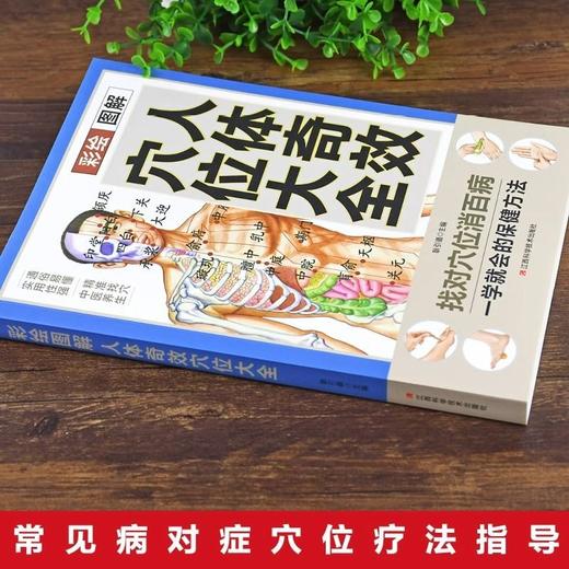 【9.9元包邮】正版 彩绘图解人体奇效穴位大全 中医人体经络穴位图解书人体经络 商品图1