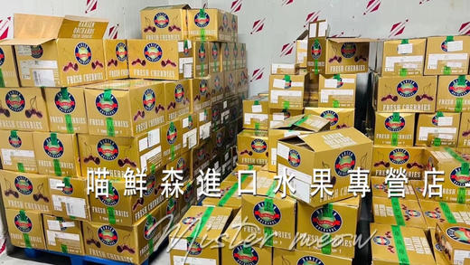 【次日达】澳洲塔斯马尼亚hamsen庄园车厘子 商品图8