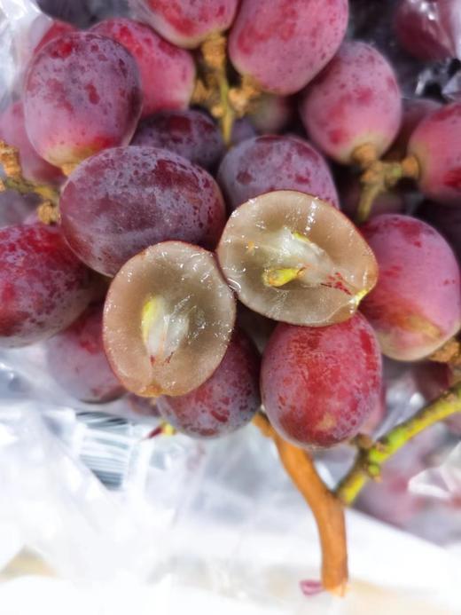 进口红提一箱（拼团） 商品图1