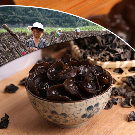 火烧坪 黑木耳 155g  商品图3