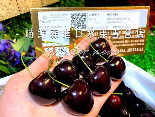 【次日达】澳洲塔斯马尼亚hamsen庄园车厘子 商品图1