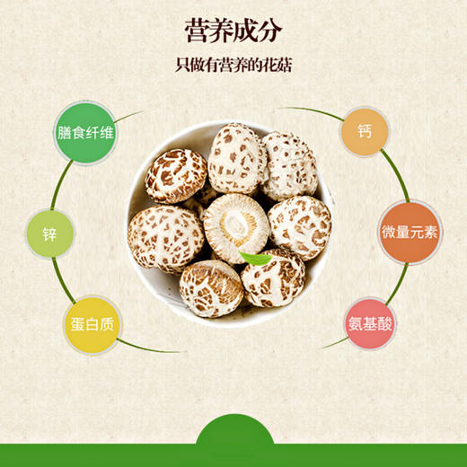 火烧坪 花菇 商品图3