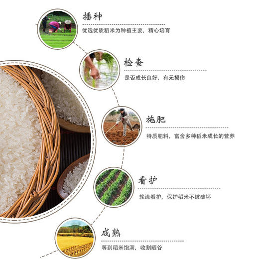 火烧坪 富硒富锌冷水米 5000g  商品图4