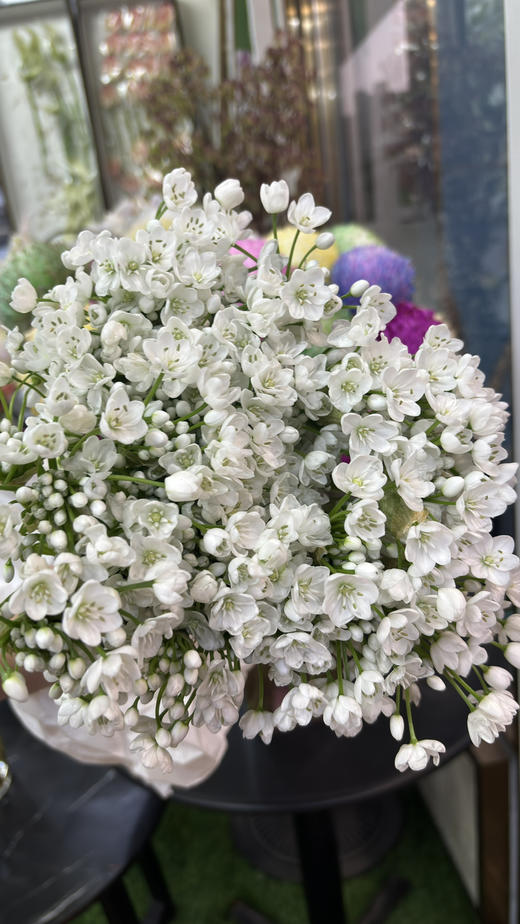 【正确的主张】纸葱花（白雪公主）约10枝/扎 商品图6