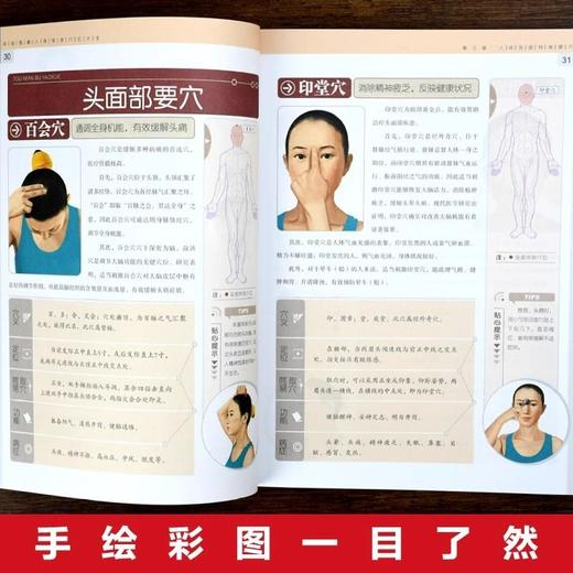【9.9元包邮】正版 彩绘图解人体奇效穴位大全 中医人体经络穴位图解书人体经络 商品图3
