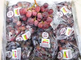 进口红提一箱（拼团）