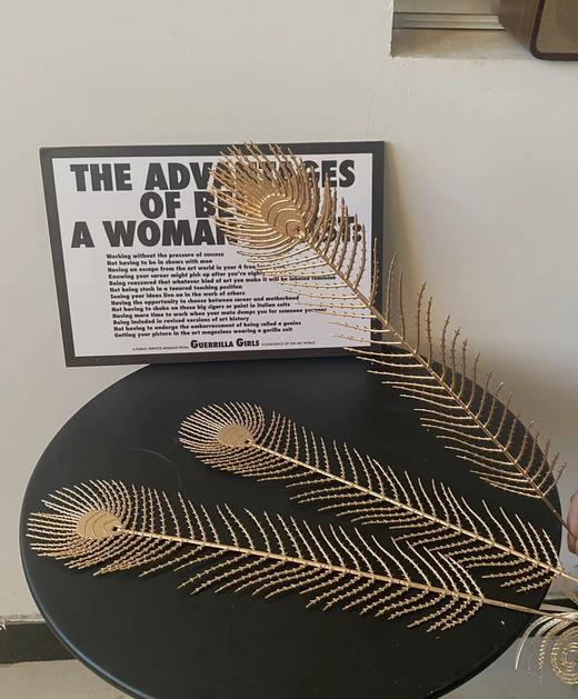 单枝凤尾50支（单枝低价0.7） 商品图2