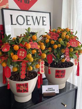 【新年卡片贴纸100小张】龙粉卡20张+龙运红卡20张+双面挂卡20张+贴纸5张+挂绳