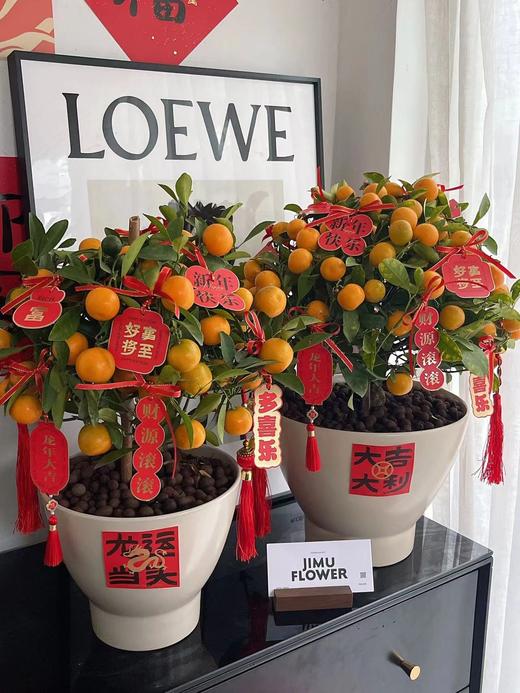 【新年卡片贴纸100小张】龙粉卡20张+龙运红卡20张+双面挂卡20张+贴纸5张+挂绳 商品图0